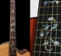 Preview: F-057CDY Inlay Stickers, Fret Mark- Winding Vine w/Bird