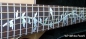 Preview: FT-050TG-WT Inlay Stickers, Tree Of Life Fret Markers