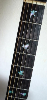 F-099DV-MX Inlay Stickers, Dove Fret Markers (Abalone-Mix)