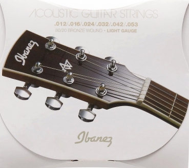 Ibanez IACS6C Acoustic Guitar Saiten Westerngitarre 12 bis 53